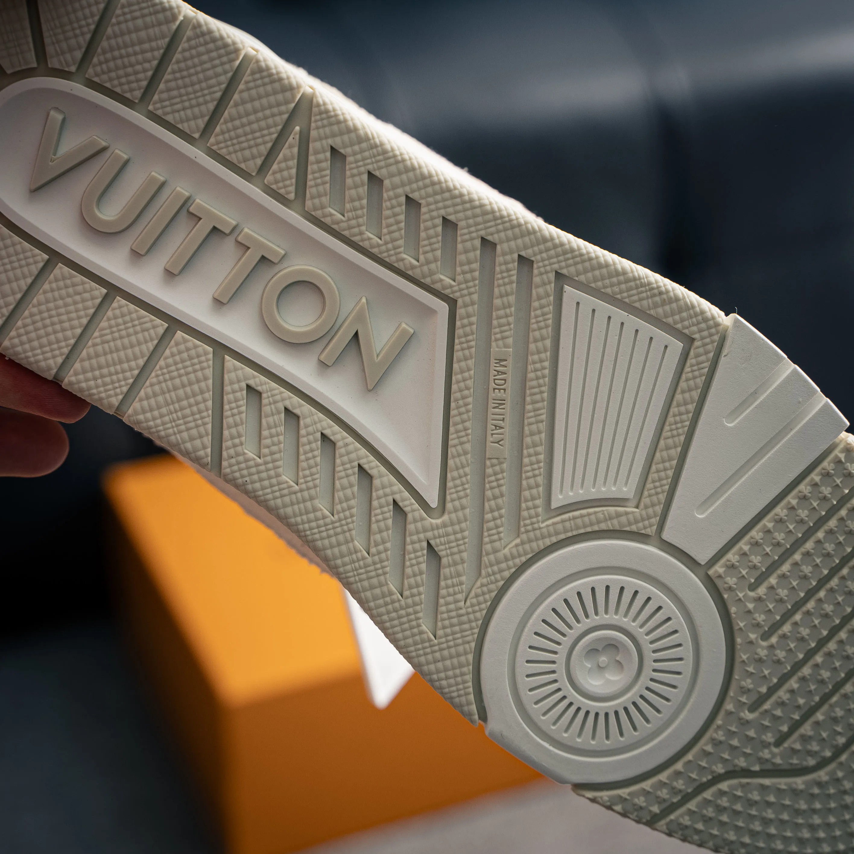 Louis Vuitton Trainer lv Sneakers Shoes Shoes